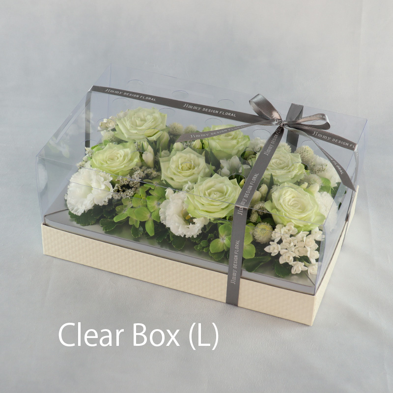 クリアーボックス_L（配送）