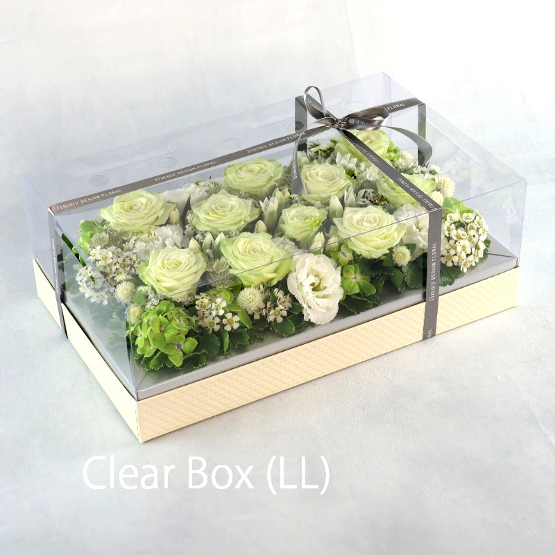 クリアーボックス_LL（配送）