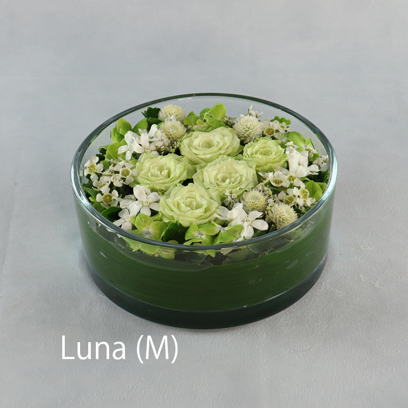 ルナ_M（配送）
