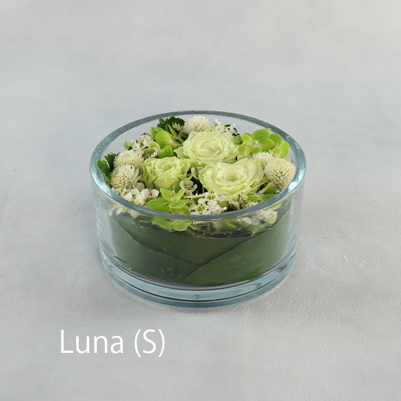 ルナ_S（受取）