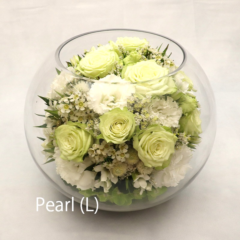 パール_L（受取）