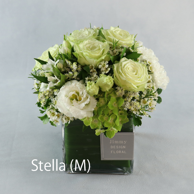 ステラ_M（配送）