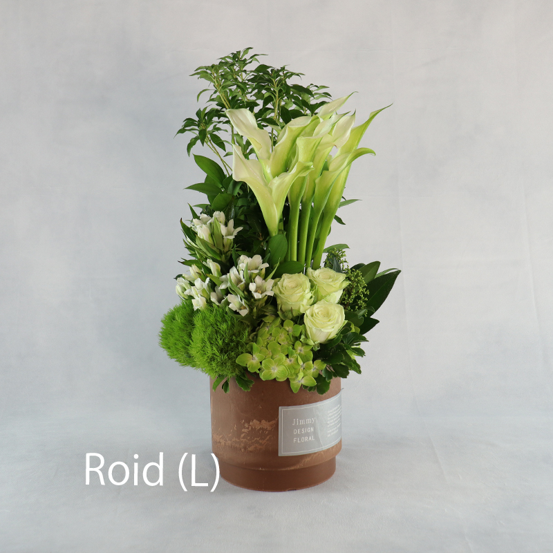 ロイド_L（受取）