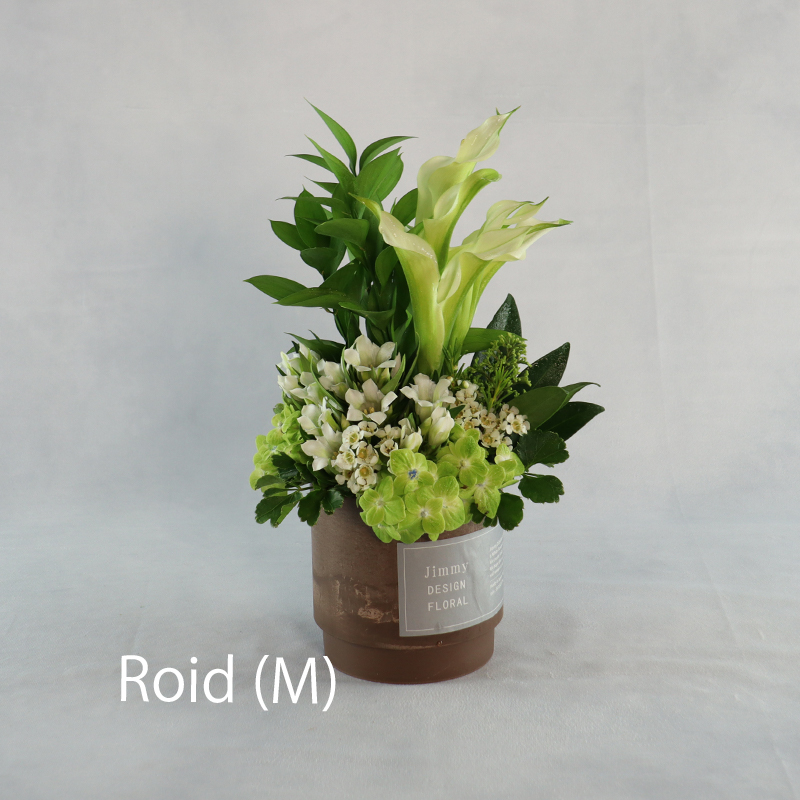 ロイド_M（受取）